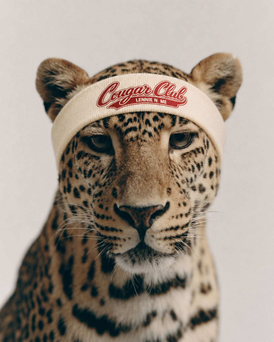 COUGAR CLUB COLLECTION